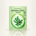 Bringgreen Fresh Mask Artemísia e Cera 20g