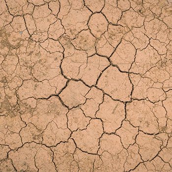 kollab pele seca | kollab | k-beauty